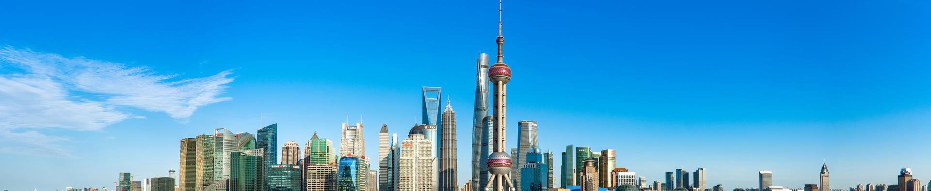 业务领域