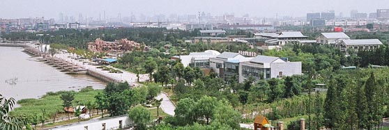 图片关键词